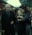 Famille Malefoy 2017.jpg