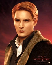 Breaking-Dawn part-1 Promo 9.jpg