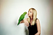 Two birds