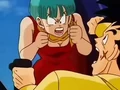 DBZ - 223 - (by dbzf.ten.lt) 20120302-14473323