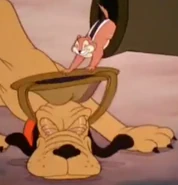 Capture -21