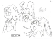 Vanilla expressions Sonic advance 2 SonicX concept art