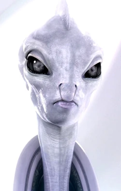 Lama Su.png