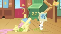 Fluttershy bowl1 S02E19