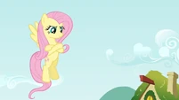 Defiant Fluttershy S2E19