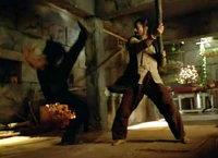 100304-kungfufighting.jpg