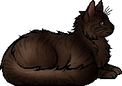 Ivytail (RC).elder