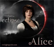 Alice!!