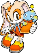 Sonicchannel cream nocircle