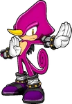 Sonicchannel espio nocircle