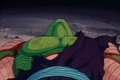 Piccolo feels to his death2