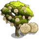 Sand Dollar Tree-icon