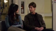 PLL223 (24)