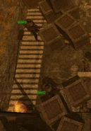 Nastya's Guards