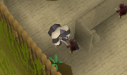 Monkeyknifefightertrap