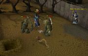 Ss fight
