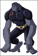 Beast (X-Men Evolution)2