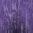 Sc purple