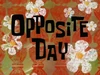 Opposite Day