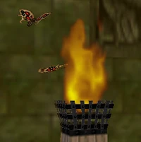 Moth