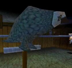 Eagle Owl