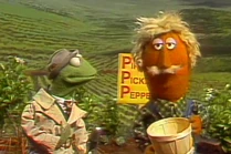 Porterpiperandkermit