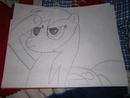 RD sketch