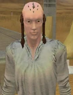 Vuul Sarlin-SWG.jpg