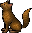 20120529043952!Lionblaze.warrior.png