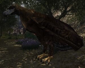 Meneldor
