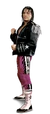 Bret Hart Full