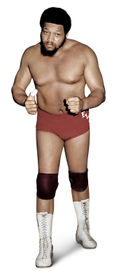Ernie Ladd Full