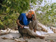 Survivor-dirk-been