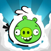 Angry pigs