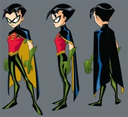 Robin-robin-in-the-batman-9733110-492-450