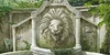 Scene Secluded Lion Pond (Scene)-icon.png