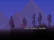 DarkMummy