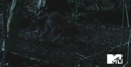 Alpha that bit Scott