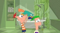 Combing Ferb's hair