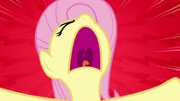 Fluttershy yell S2E21