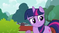 Twilight Sparkle pondering S2E21
