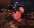 ME3 Ravager.png