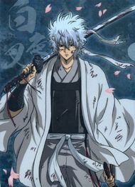 Sei in the war