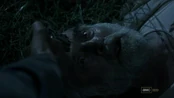 Daledeath