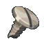 Screw