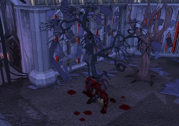 Darkmeyer bloodwood tree