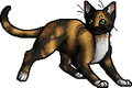 Cherrytail.apprentice