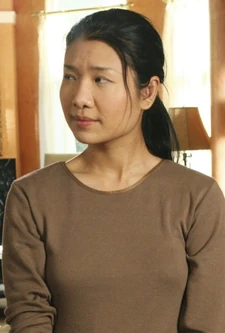 Xiaomei
