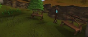 Lletya Flax