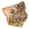 Inx Map Fragment